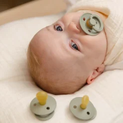 Bibs fopspeen Size 1 Try-it Collectie Sage