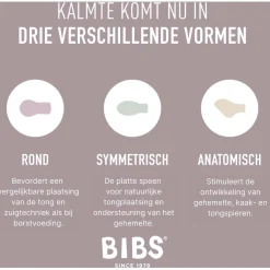 Bibs fopspeen Size 1 Try-it Collectie Sage