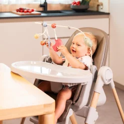 Chicco Polly Armonia speelboog Multi Color