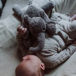 Flow Amsterdam Hartslagknuffel George grijs