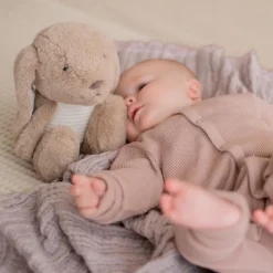 Flow Amsterdam hartslagknuffel Milo bruin