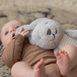 Flow Amsterdam hartslagknuffel Milo grijs