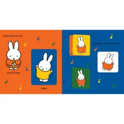 Het grote nijntje flapjesboek Multi