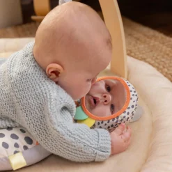 Ingenuity Every Season activity gym Beigebrown