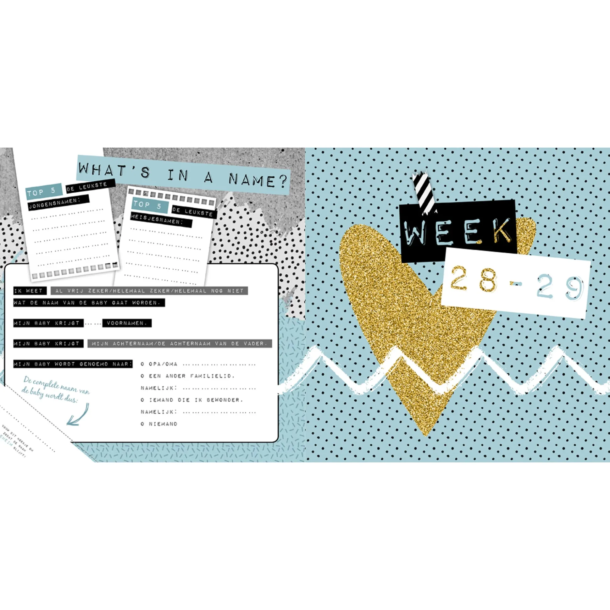 Lantaarn Publishers invulboek 9-maanden - zwangerschap Linney