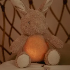 Little Dutch licht en geluid knuffel konijn multi