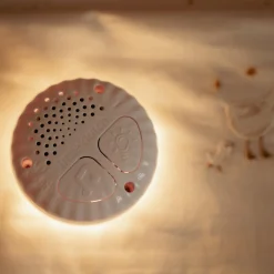 Little Dutch licht en geluid knuffel gans multi