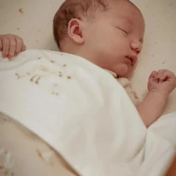 Little Dutch wiegdeken Little Goose beige