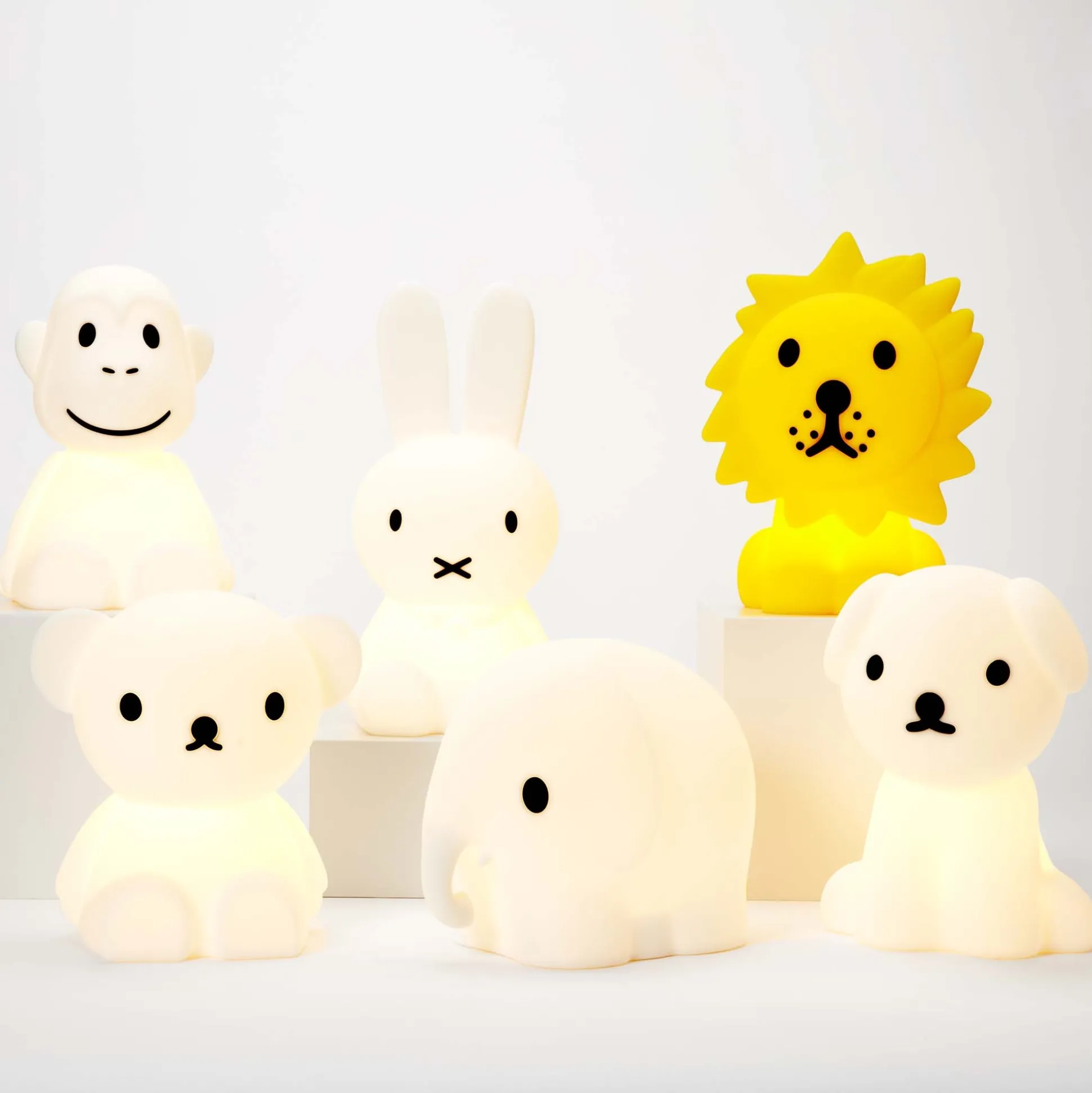 Mr Maria Boris first light 20 cm wit