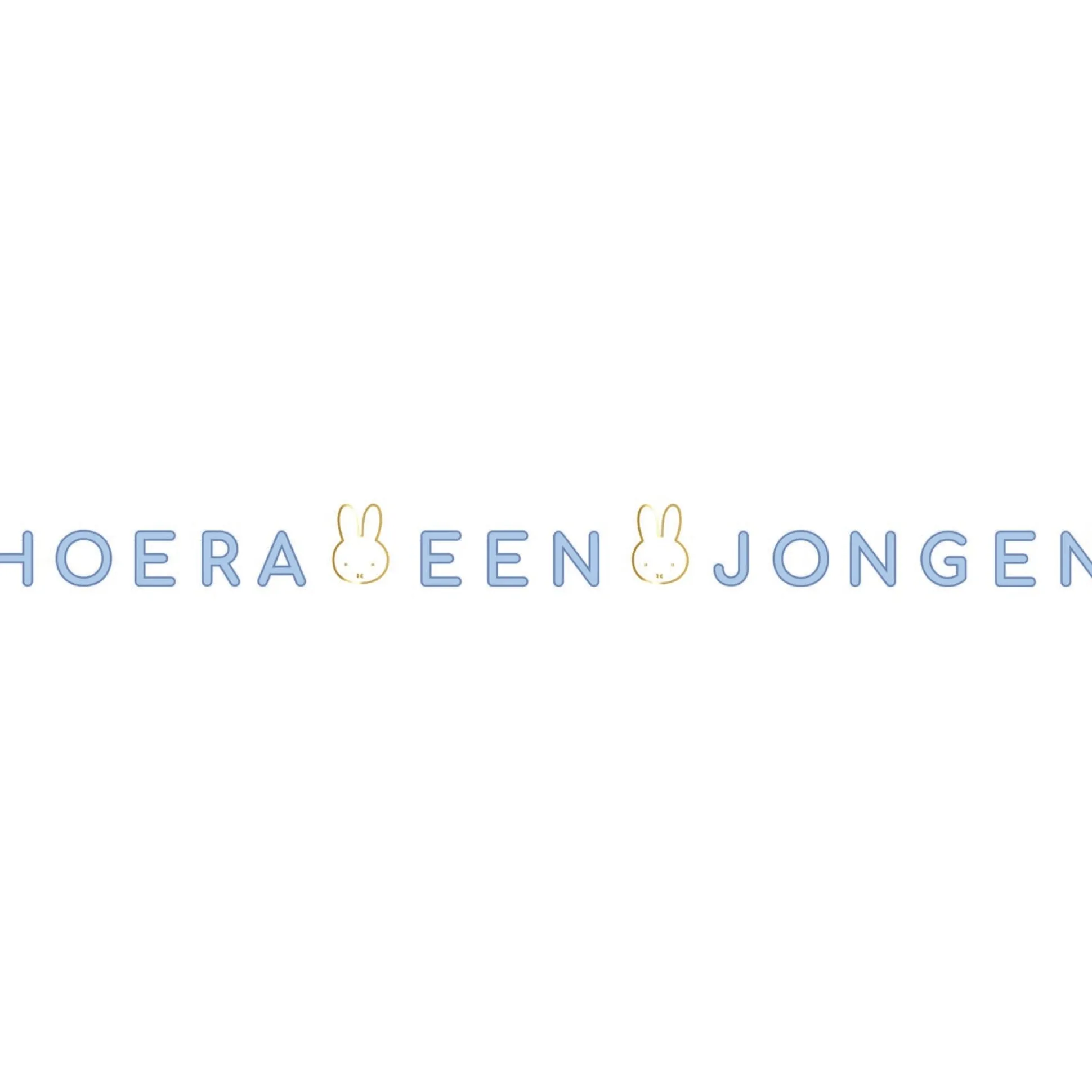 Nijntje hoera een jongen slinger Blue