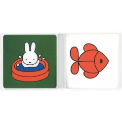 Nijntje speelt met water Multi