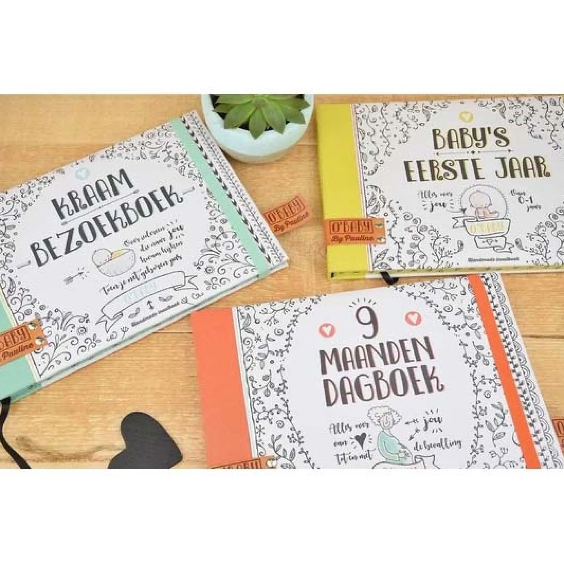 Pauline O'Baby invulboek eerste jaar Multi