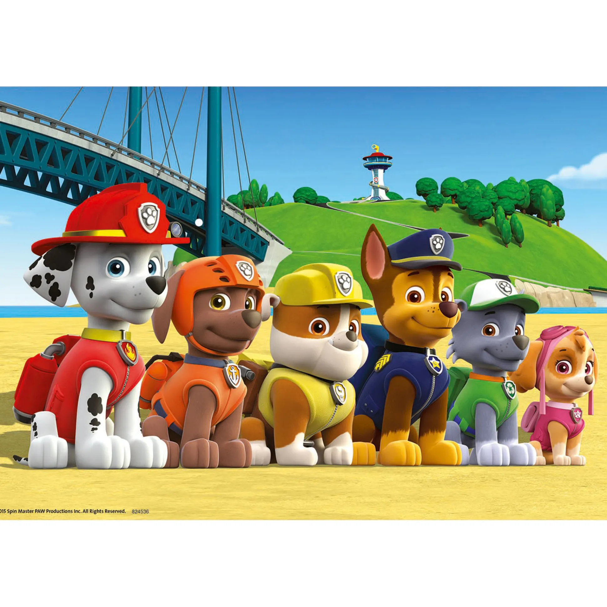 Paw Patrol dappere honden puzzel 2x24st Multi