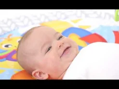 Playgro Clip Clop Activity Gym with Music Multi