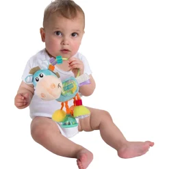 Playgro Clip Clop Activity Rattle Paard rammelaar Multi