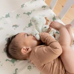 Prénatal activiteitenspeeltje dino Midgreen