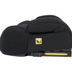 Prénatal booster Stormy Black