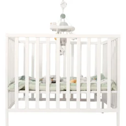 Prénatal box Sana White