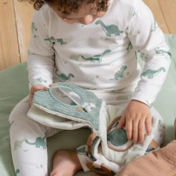 Prénatal buggyboekje dino Midgreen