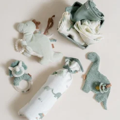 Prénatal kruikenzak dino multi