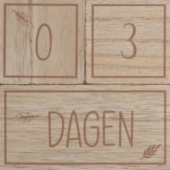 Prénatal milestone blokken hout Brown