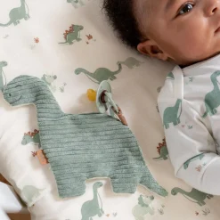 Prénatal speendoekje dino groen