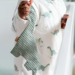 Prénatal speendoekje dino groen