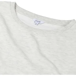 Prénatal zwangerschapstop lange mouwen effen grijs