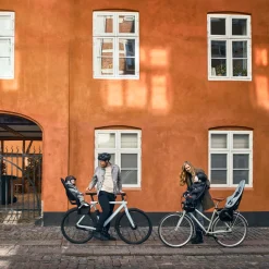 Thule Yepp 2 mini fietsstoeltje Black