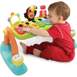 VTech 5 in 1 muzikale babygym Multi