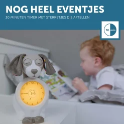 Zazu slaaptrainer Davy grijs