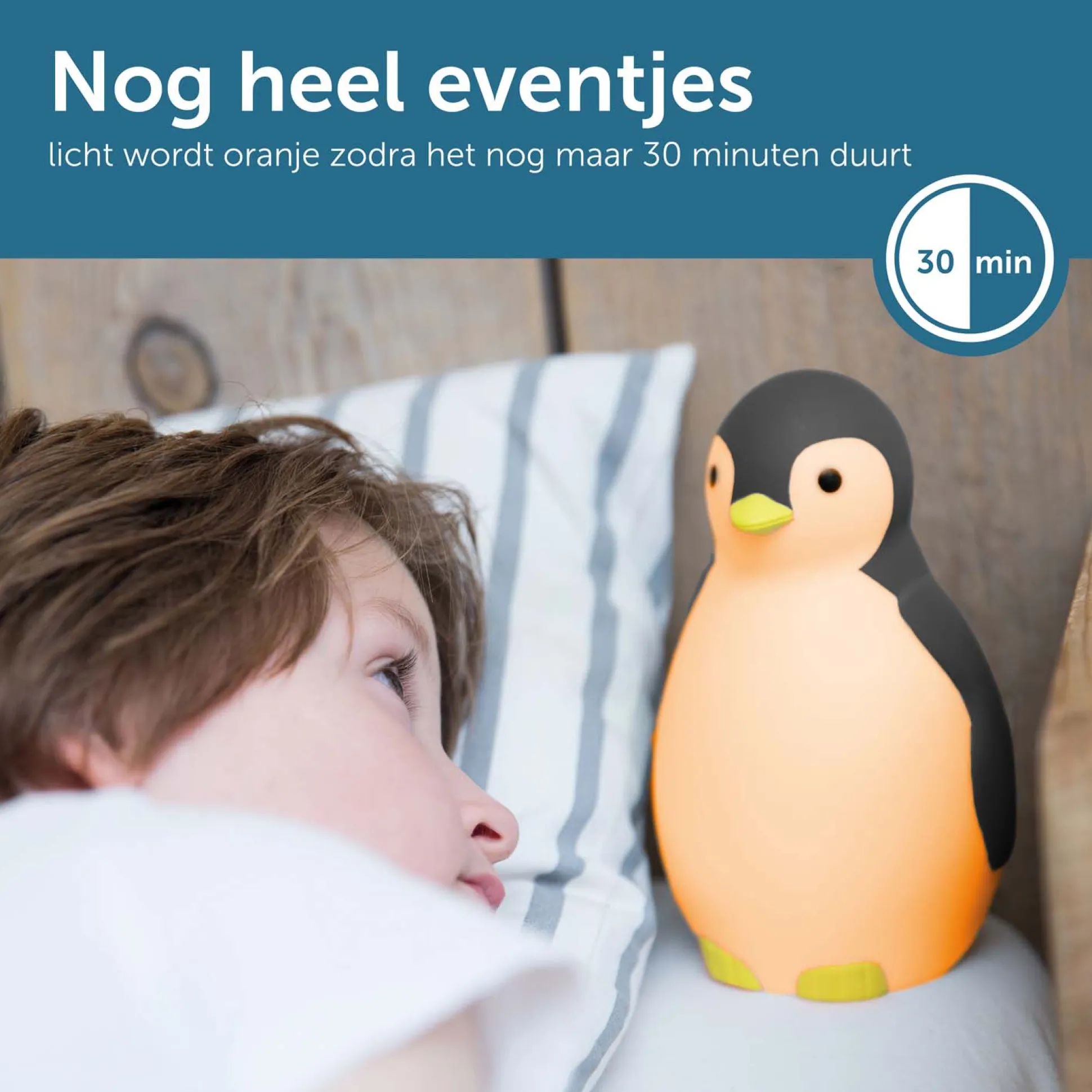 Zazu slaaptrainer nachtlamp met muziek Pam grijs grijs