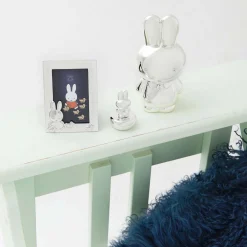 Zilverstad nijntje haarlokdoosje of tandendoosje Multi