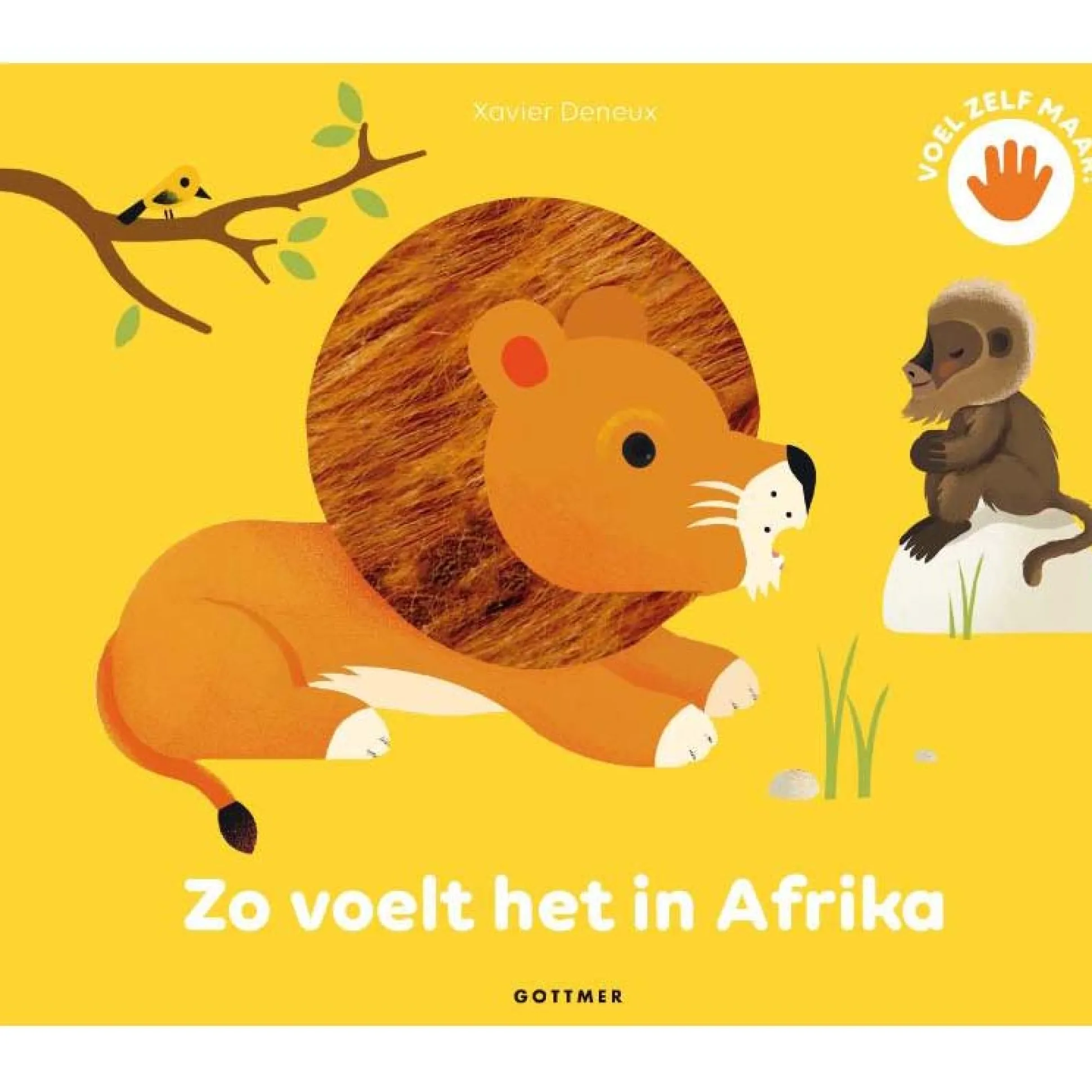 Zo voelt het in Afrika Multi